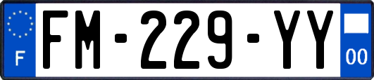 FM-229-YY