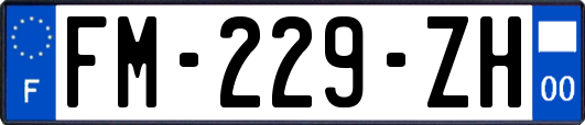 FM-229-ZH