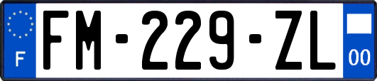 FM-229-ZL