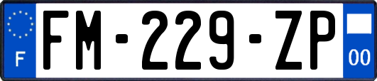 FM-229-ZP