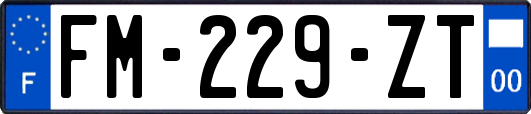 FM-229-ZT