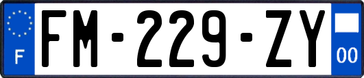 FM-229-ZY