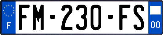 FM-230-FS