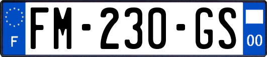 FM-230-GS