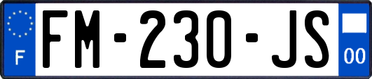 FM-230-JS