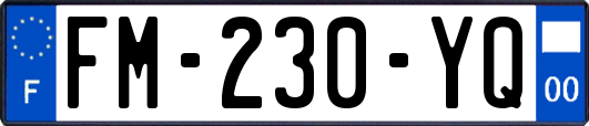 FM-230-YQ