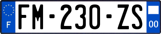 FM-230-ZS