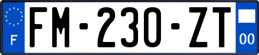 FM-230-ZT
