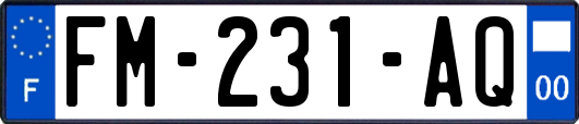 FM-231-AQ