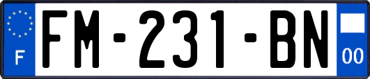 FM-231-BN