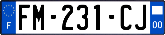 FM-231-CJ