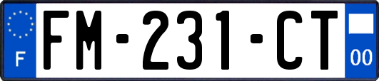 FM-231-CT