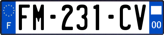 FM-231-CV