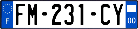 FM-231-CY