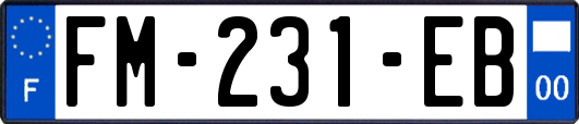 FM-231-EB