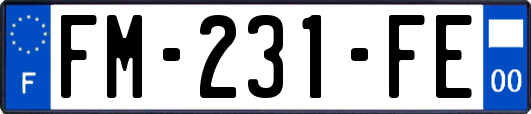 FM-231-FE