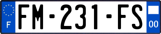 FM-231-FS