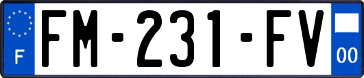 FM-231-FV
