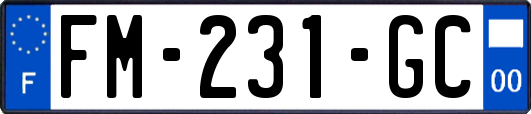 FM-231-GC
