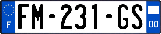 FM-231-GS