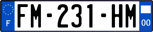FM-231-HM