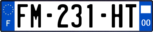 FM-231-HT