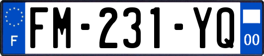 FM-231-YQ