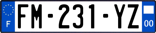 FM-231-YZ