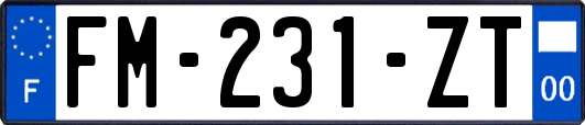 FM-231-ZT