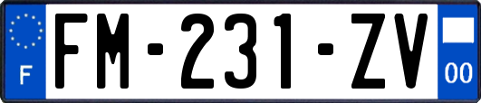 FM-231-ZV