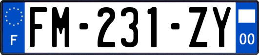 FM-231-ZY