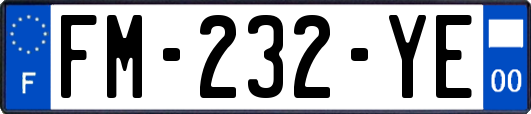 FM-232-YE