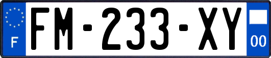 FM-233-XY