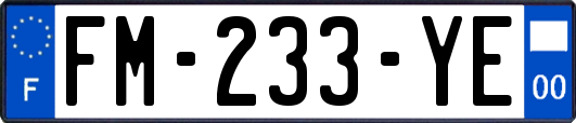 FM-233-YE