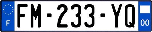 FM-233-YQ