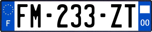FM-233-ZT