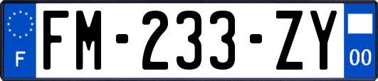 FM-233-ZY