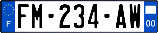FM-234-AW