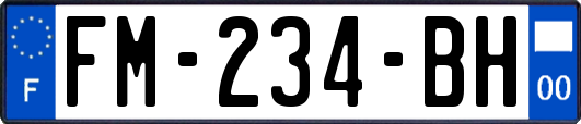 FM-234-BH