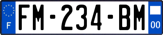 FM-234-BM