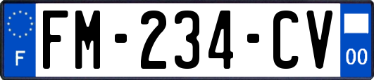 FM-234-CV