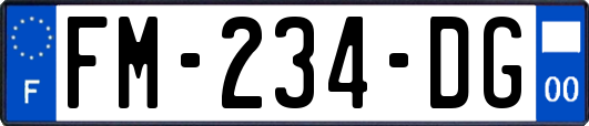 FM-234-DG