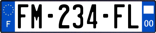 FM-234-FL