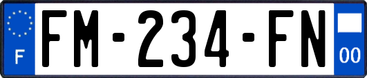 FM-234-FN