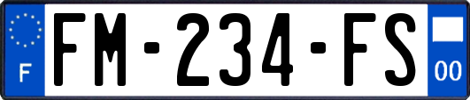 FM-234-FS