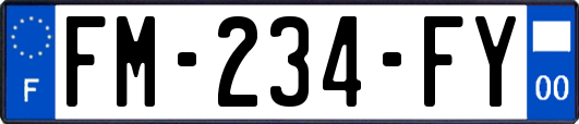 FM-234-FY