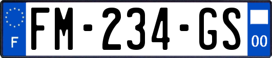 FM-234-GS