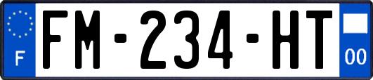 FM-234-HT