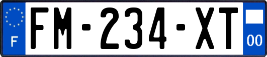 FM-234-XT