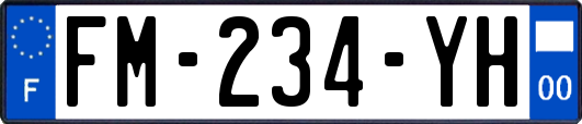 FM-234-YH